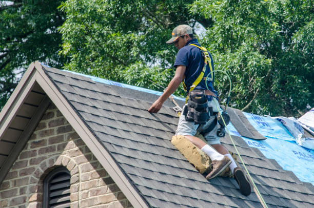 Best Roof Gutter Cleaning  in Summerville, GA